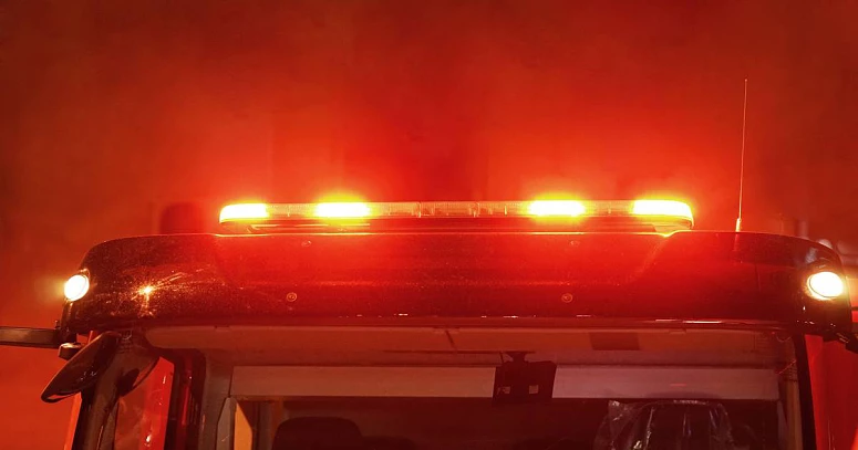 Militar da GNR mordido por cães que terão causado uma morte em Santa Maria da Feira