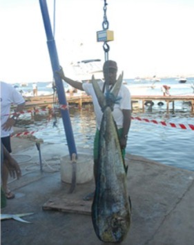 Pesca desportiva: Clube Náutico vence Torneio “Grand Slam”